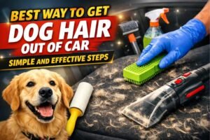 best way to get dog hair out of car