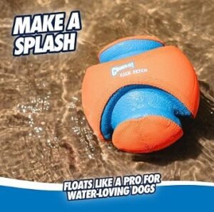 Chuckit Ball