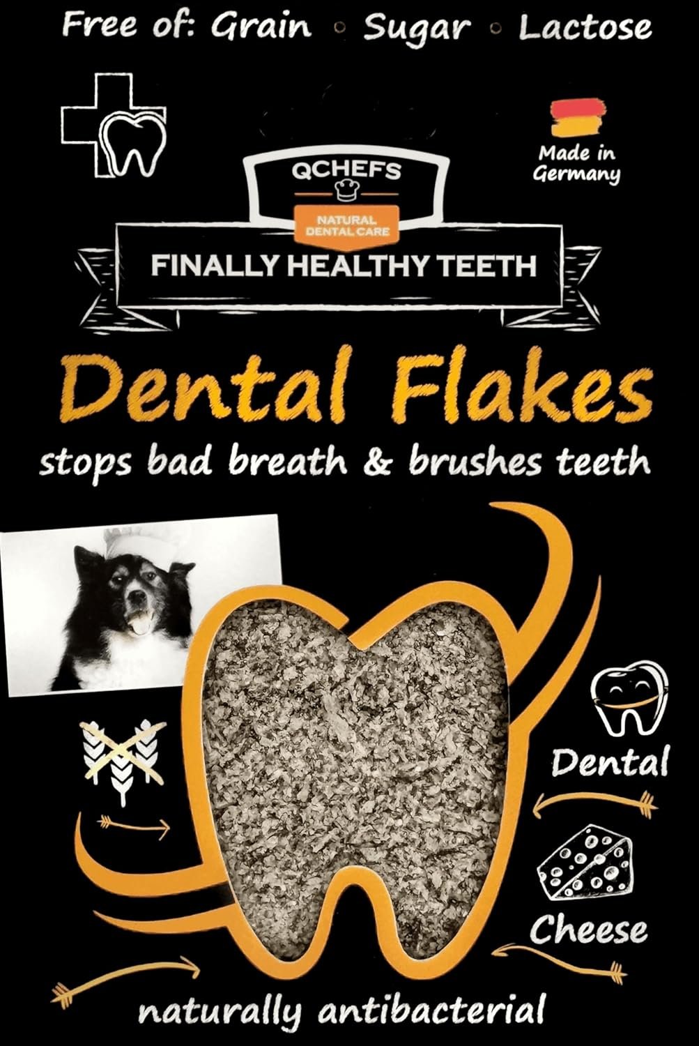 Understanding Dog Dental Care