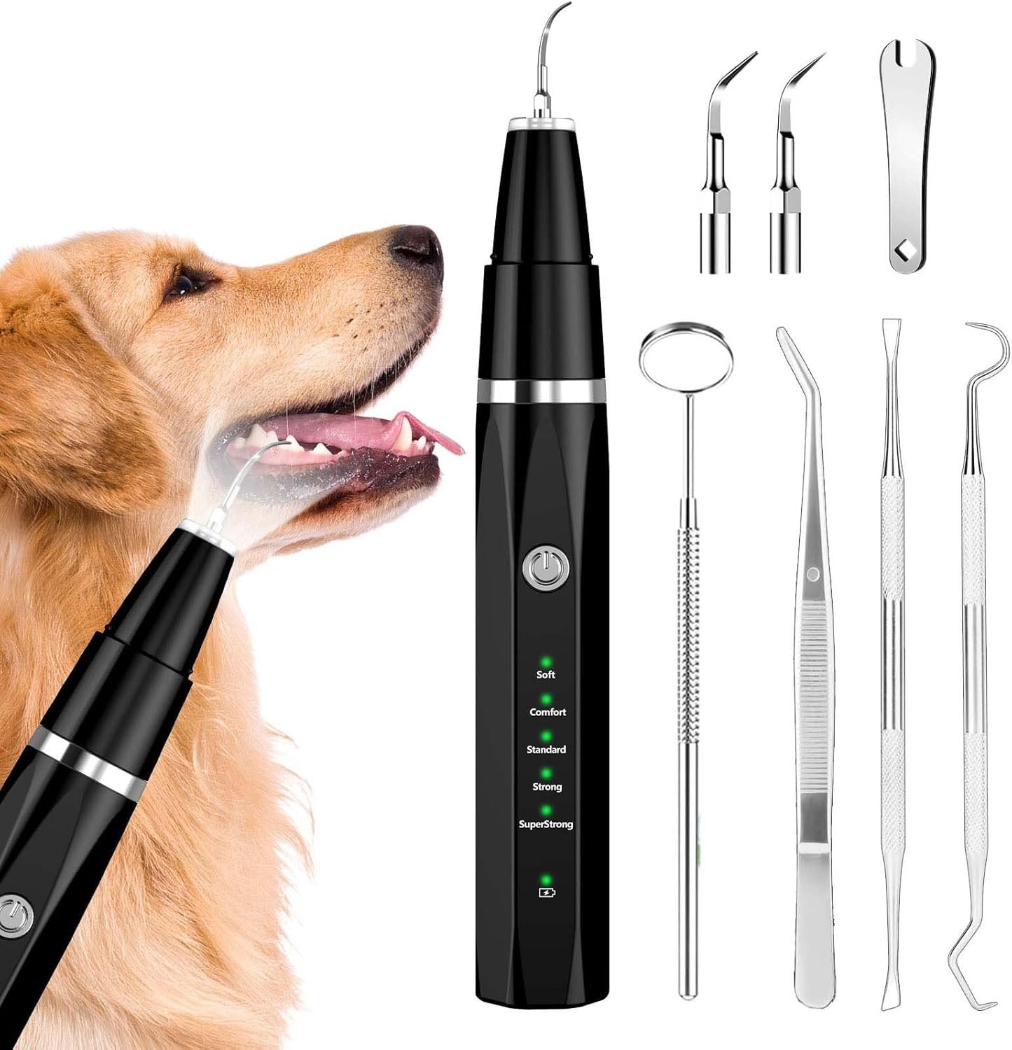 Understanding Dog Dental Care