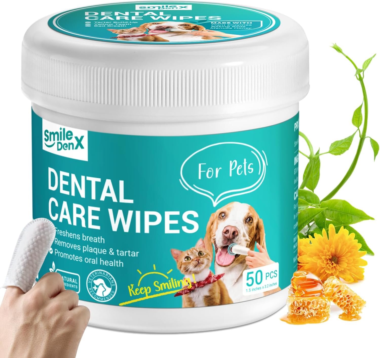 Understanding Dog Dental Care
