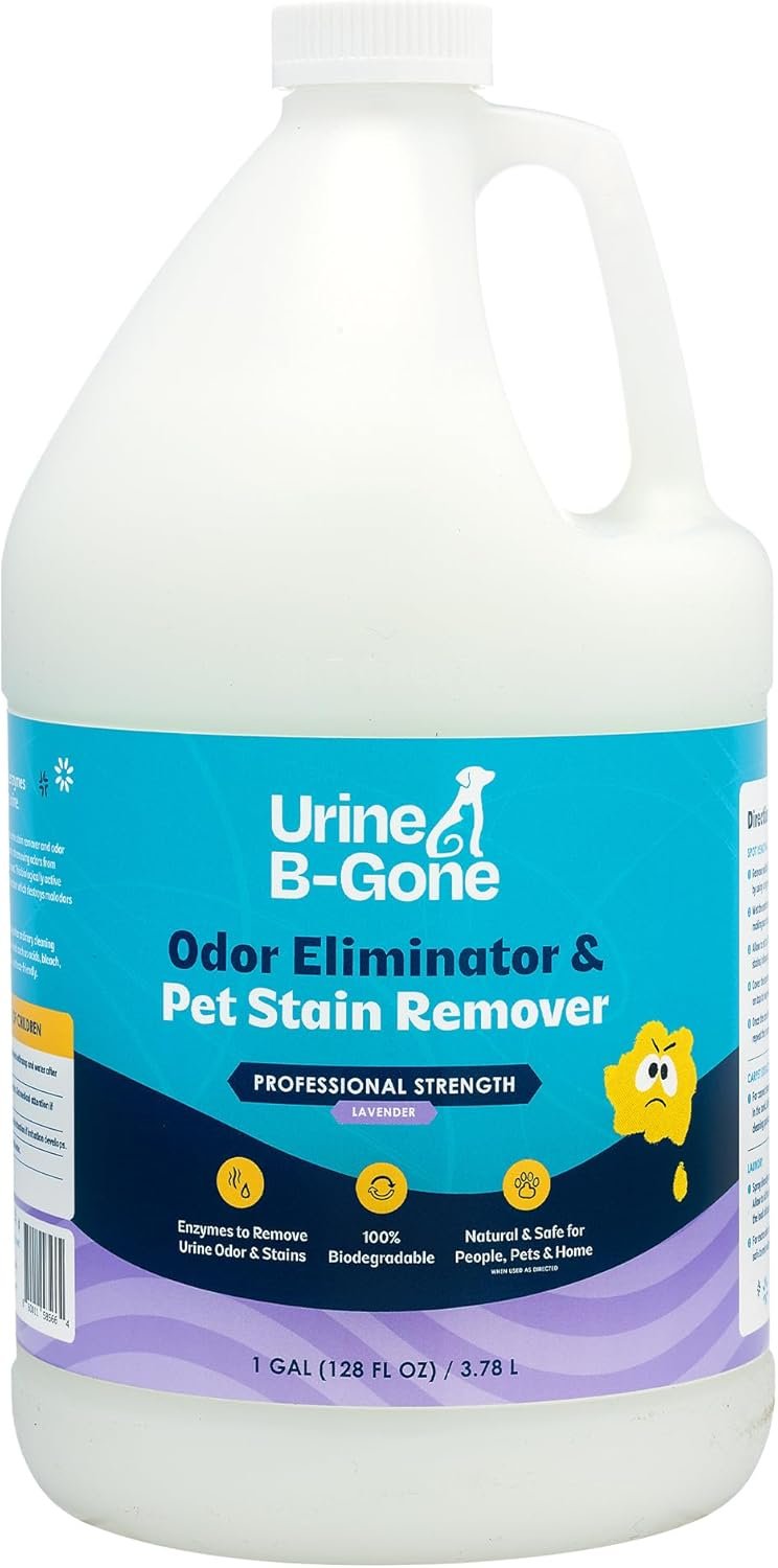 KINZUA Urine B-Gone Enzyme Cleaner